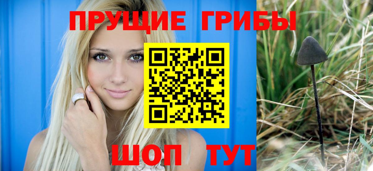 Галлюциногенные грибы прущие грибы Кириши