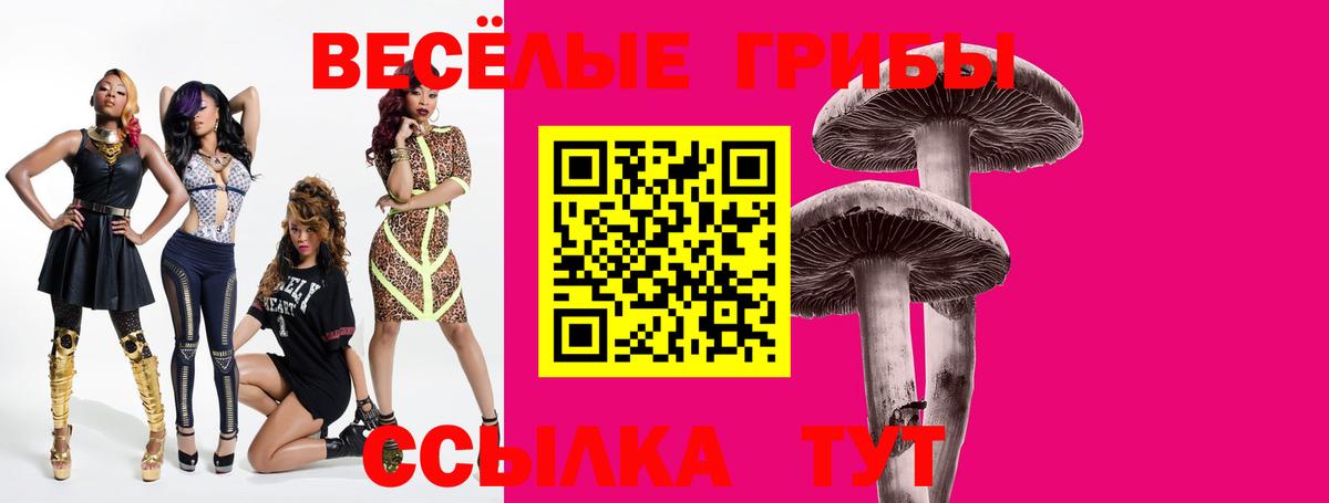 Кириши  Галлюциногенные грибы Psilocybe  Вход с VPN 